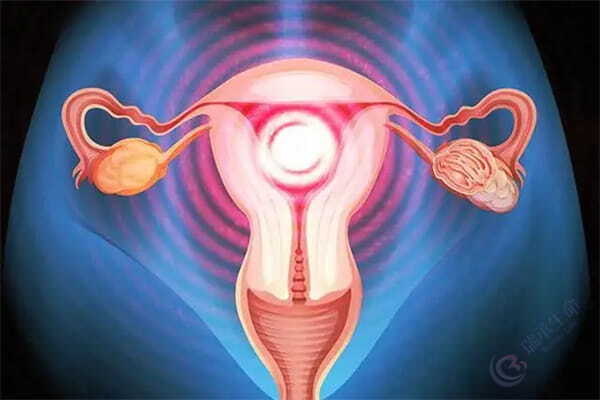 试管婴儿囊胚移植成功率与子宫内膜：揭秘生命起源的微妙关系