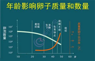 做试管婴儿前必知的黄金指南：揭秘影响取卵数量与质量的关键因素