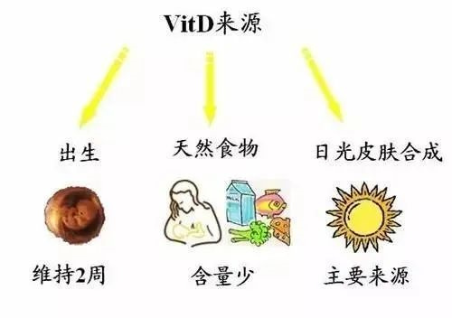 维生素D对试管周期的作用，什么时候开始补充维生素D？