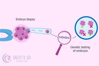 做试管婴儿，移植通过基因检测的囊胚成功率如何？