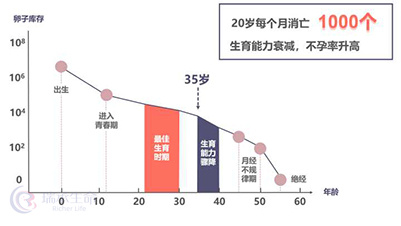 做试管婴儿如何让大龄女性的取卵数目、囊胚数目翻倍？