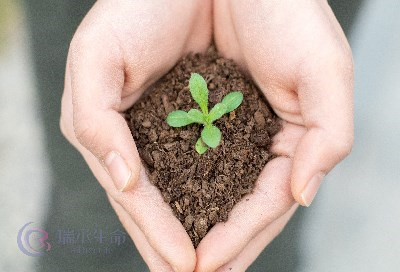 子宫内膜容受性对胚胎移植的意义，做试管婴儿前子宫内膜厚度不达标怎么办？