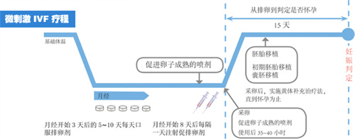 试管婴儿成功的基础：提高卵子质量很重要！