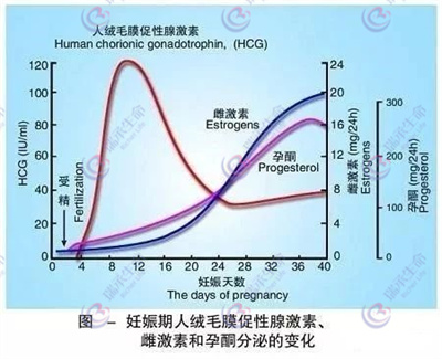 做试管婴儿期间，促排卵会不会使女性发胖？