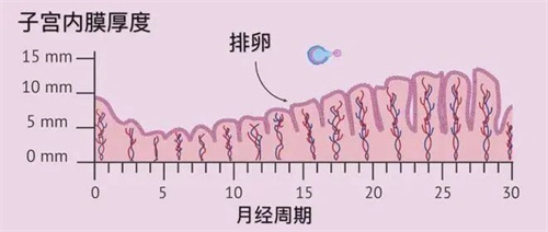 做试管促排取卵后内分泌多久可以恢复？