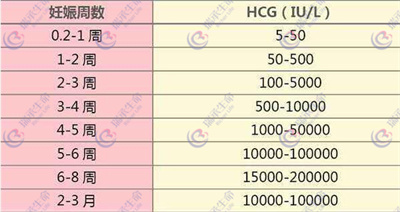 做试管婴儿胚胎移植后的HCG值是怎么变化的？