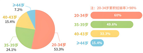 您想要了解的：可以提高试管成功率的五大秘诀在这里！