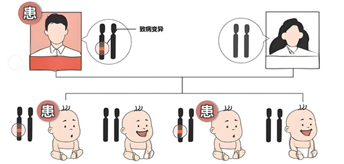 做试管婴儿前，为什么要做单基因遗传病筛查？