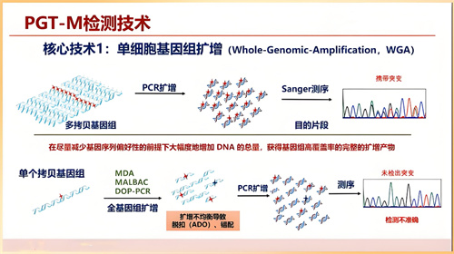 做第三代试管婴儿，胚胎着床后还会发生胎停吗？