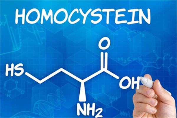 做试管婴儿为什么要注意的HCY的水平？HCY水平对生殖功能的影响