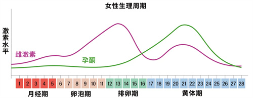 雌激素高做试管婴儿能移植吗，成功率高不高？