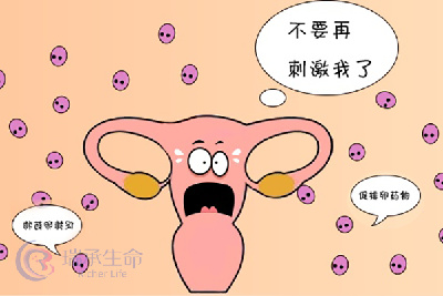 雌激素高做试管婴儿能移植吗，成功率高不高？