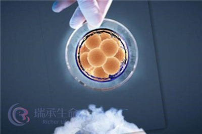 雌激素高做试管婴儿能移植吗，成功率高不高？